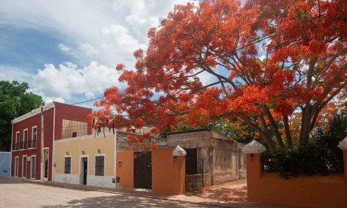Posada San Juan